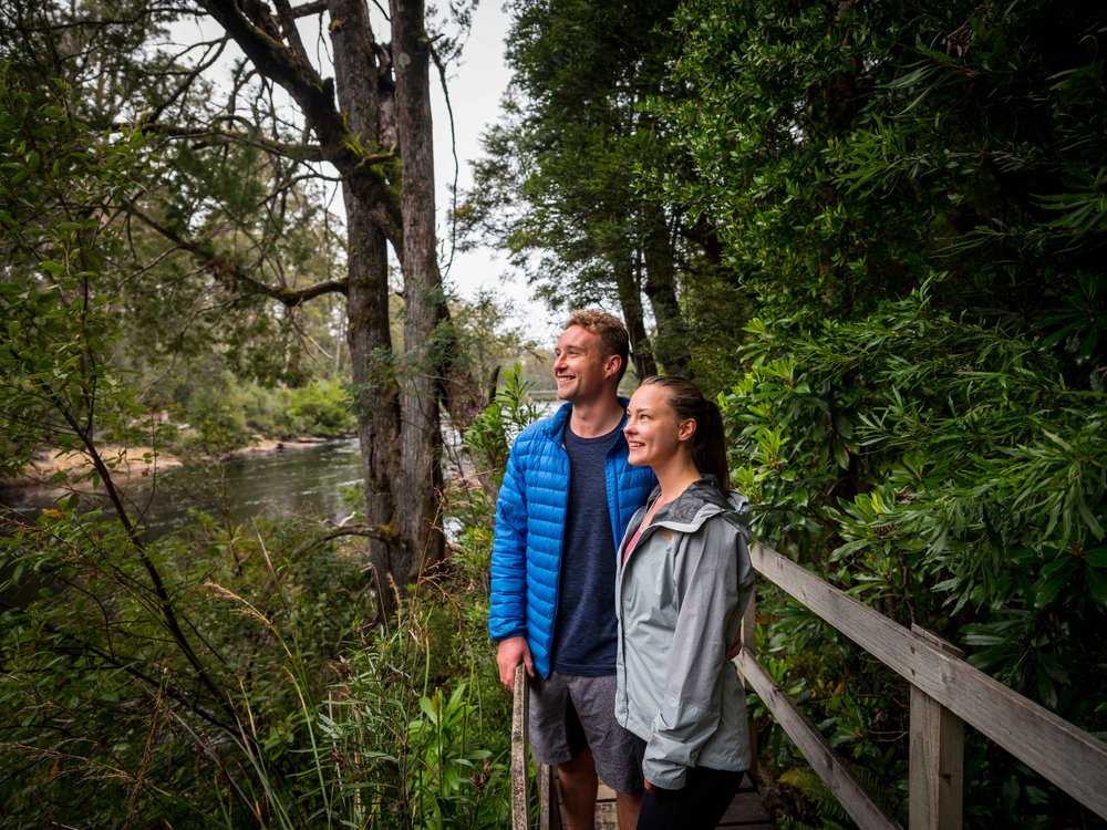 Tahune Adventures Tasmania - Huon Pine walk