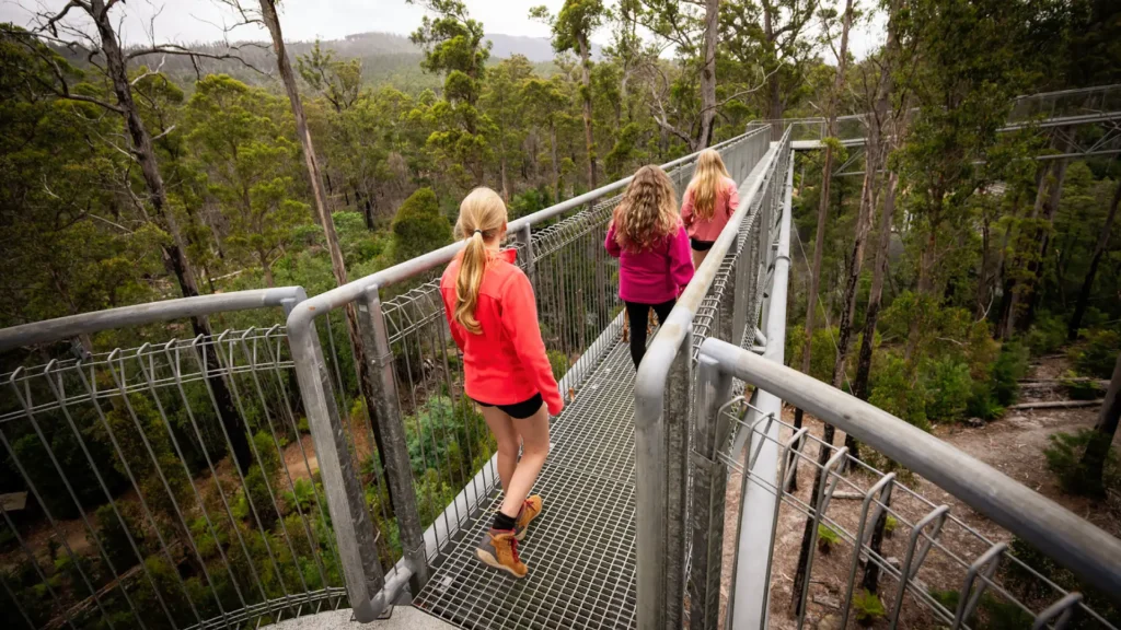 Airwalk - forest floor