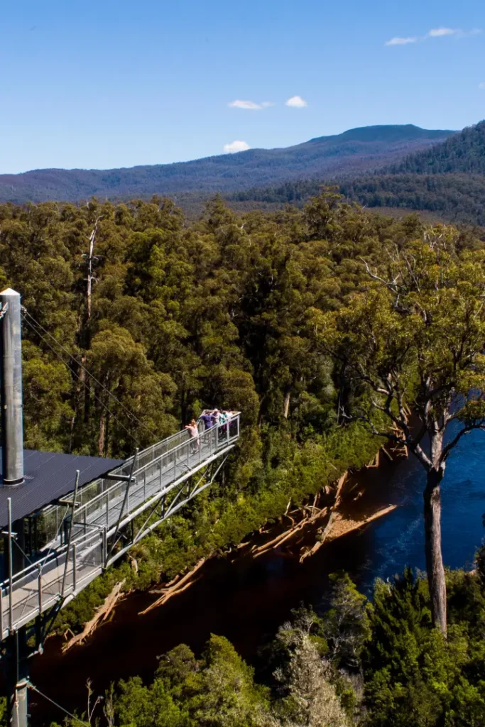 Airwalk tahune adventures
