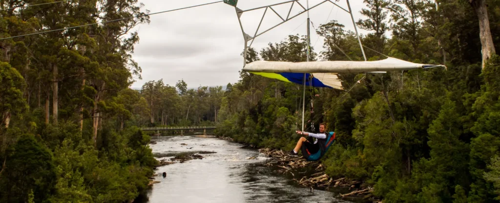 Hang Glider
