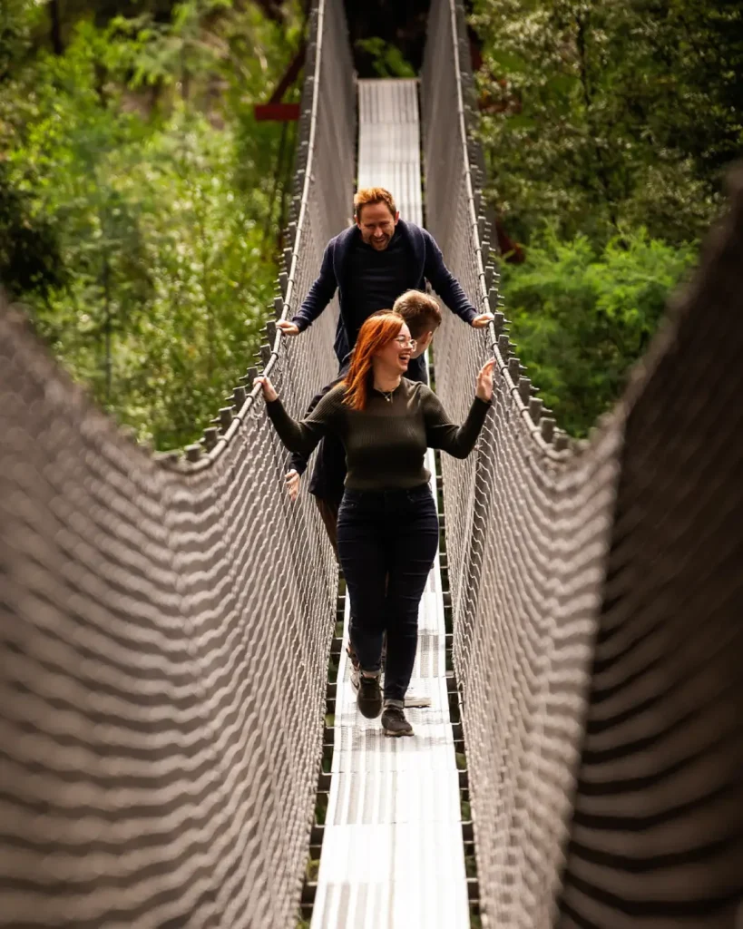 Swinging Bridges - family jump