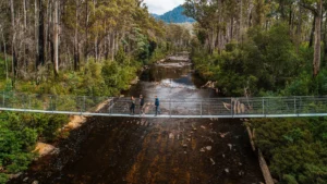 Swinging Bridges - river