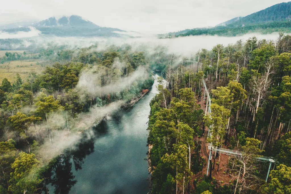 Tasmanian Rainforest Adventures