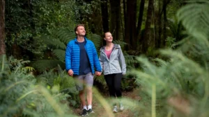 Eco-Friendly Tasmanian Rainforest Adventures