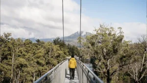 Experience the Tahune AirWalk