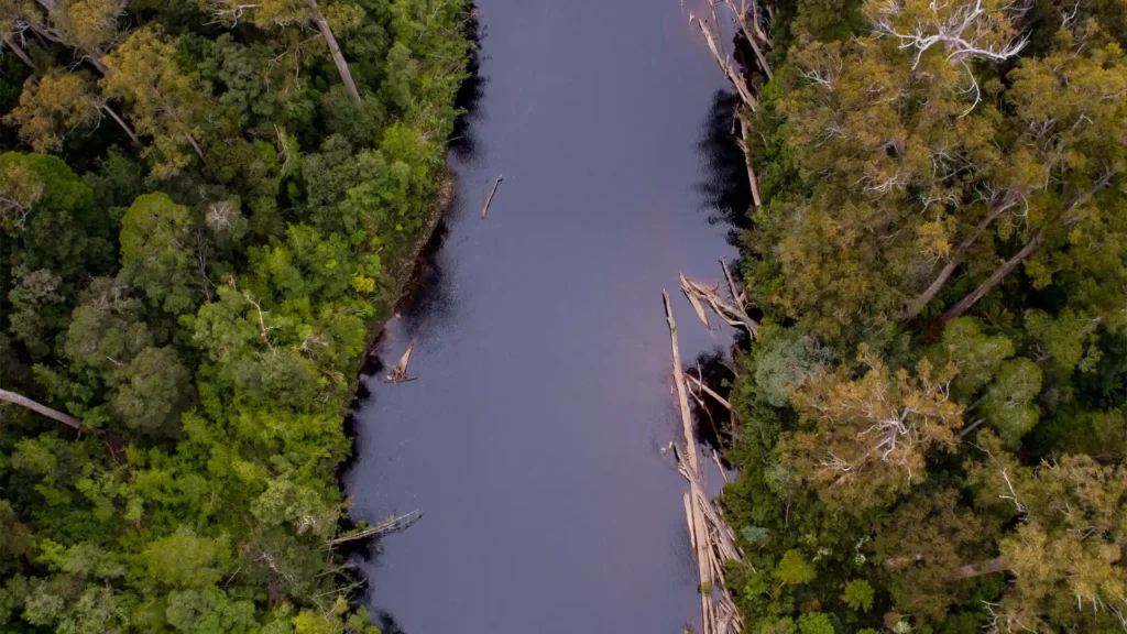 Huon Valley Rainforest Adventures at Tahune