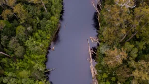 Huon Valley Rainforest Adventures at Tahune