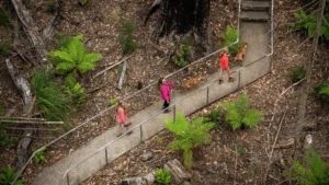 Huon Valley Attractions at Tahune Adventures