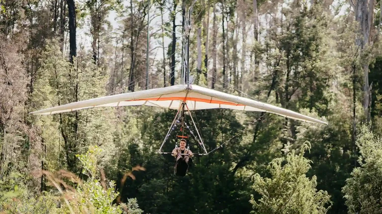 Tasmanian Adventures Explore Tahune AirWalk & Forest