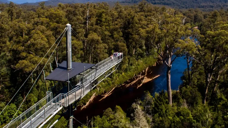 Tree Top Walk Tasmania at Tahune Adventures