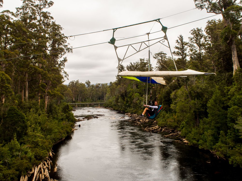 Eagle Hang Glider - Tahune Adventures Tasmania